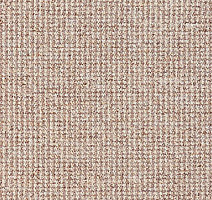 Ковролин Balta Brazil 780 фото 1 | FLOORDEALER