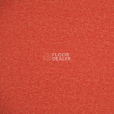 Линолеум Novoflor Extra Static Sd 2800-113 фото 1 | FLOORDEALER
