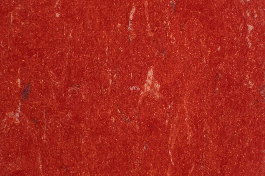 Forbo Marmoleum Solid Piano 3625-362535 salsa red фото 2 | FLOORDEALER