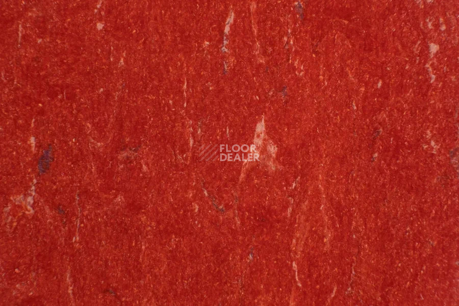 Forbo Marmoleum Solid Piano 3625-362535 salsa red фото 2 | FLOORDEALER
