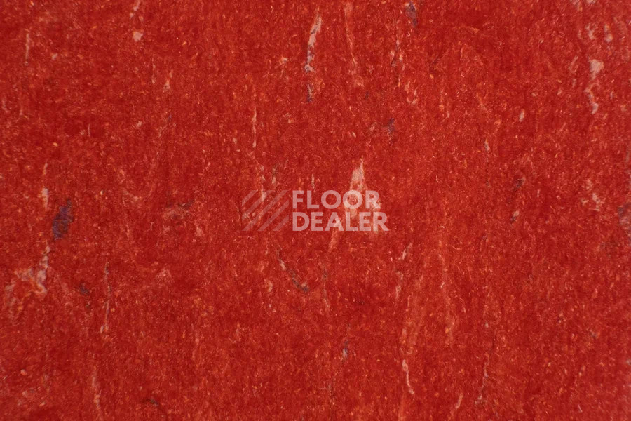 Линолеум Marmoleum Solid Piano 3625-362535 salsa red фото 1 | FLOORDEALER