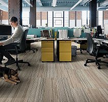 Interface Global Change Collection - Progression III