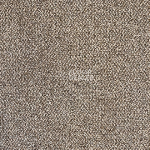 Ковролин AW Vector 39 фото 1 | FLOORDEALER