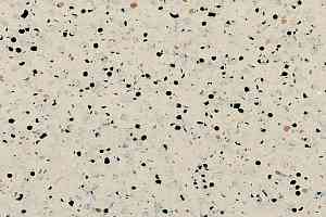 Кварцвиниловые полы GTI El5 Ev Connect 0353_beige фото  | FLOORDEALER