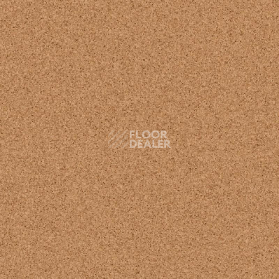 Линолеум Tarkett Primo Plus Depot Primo 303 фото 1 | FLOORDEALER