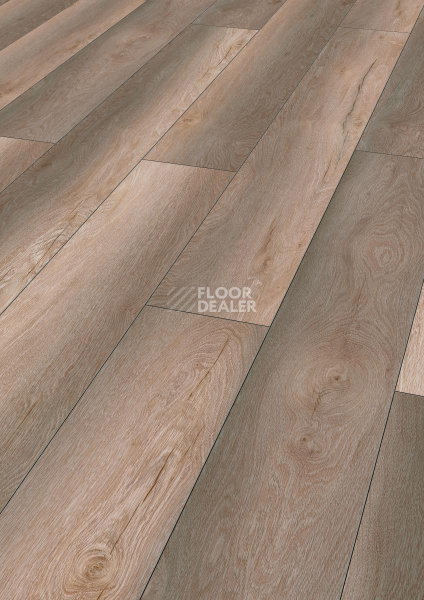 Ламинат Kronotex Robusto 12мм d80992 Дуб Гнарренбург Титан фото 1 | FLOORDEALER