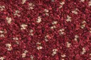 Ковролин Balsan Capitol Capitol 580 фото  | FLOORDEALER