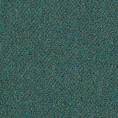 Shaw Momentum 02422 фото 1 | FLOORDEALER