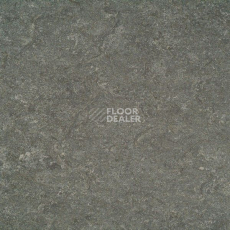 Линолеум Marmorette Acoustic DLW 121-050 фото 1 | FLOORDEALER