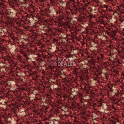 Ковролин Balsan Capitol Capitol 580 фото 1 | FLOORDEALER