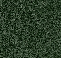 Ковролин AW Softissimo 24 фото 1 | FLOORDEALER