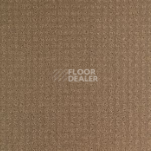 Ковролин Balsan Territoires Atrium 661 фото 1 | FLOORDEALER