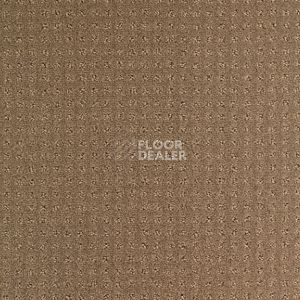 Ковролин Balsan Territoires Atrium 661 фото 1 | FLOORDEALER