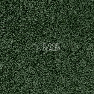 Ковролин AW Softissimo 24 фото 1 | FLOORDEALER