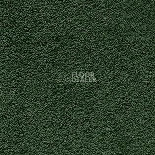 Ковролин AW Softissimo 24 фото 1 | FLOORDEALER