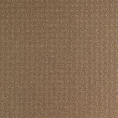 Ковролин Balsan Territoires Atrium 661 фото 1 | FLOORDEALER