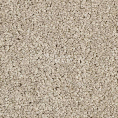 Ковролин Balsan Serenite 720 фото 1 | FLOORDEALER