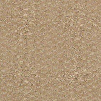 Ковролин Shaw Formation 110 фото 1 | FLOORDEALER