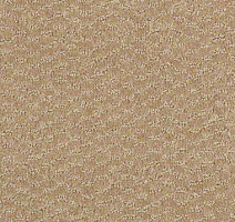 Ковролин Shaw Formation 110 фото 1 | FLOORDEALER