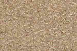 Ковролин Shaw Formation 110 фото  | FLOORDEALER