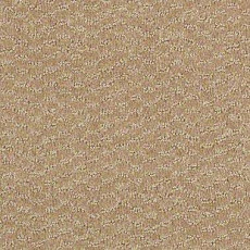 Ковролин Shaw Formation 110 фото 1 | FLOORDEALER