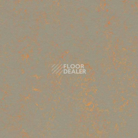 Линолеум Forbo Marmoleum Sport 83712 фото 1 | FLOORDEALER