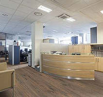 Diamond Standart Evolution