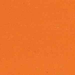 Линолеум Colorette 0170 Kumquat Orange фото ##numphoto## | FLOORDEALER