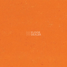 Линолеум Colorette 0170 Kumquat Orange фото 1 | FLOORDEALER