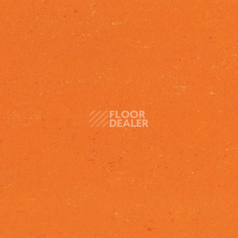 Линолеум Gerflor Colorette 0170 Kumquat Orange фото 1 | FLOORDEALER