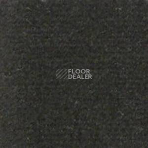 Ковролин Infloor Casa 570 фото 1 | FLOORDEALER