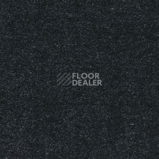 Ковролин AW Sauvage 79 фото 1 | FLOORDEALER