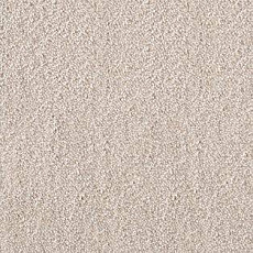 Ковролин AW Spinta 34 фото 1 | FLOORDEALER