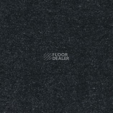 Ковролин AW Sauvage 79 фото 1 | FLOORDEALER