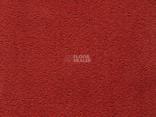 Ковролин ITC Natural Embrace Natural Embrace 65 фото 1 | FLOORDEALER