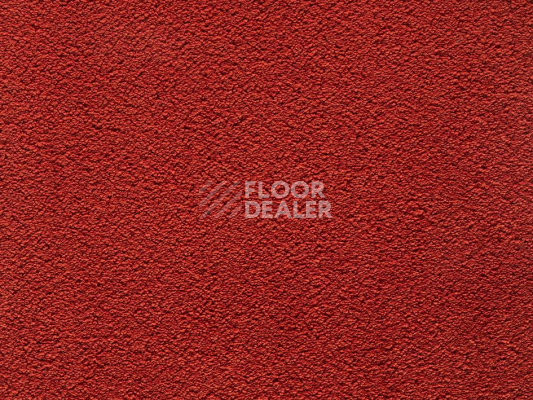 Ковролин ITC Natural Embrace Natural Embrace 65 фото 1 | FLOORDEALER