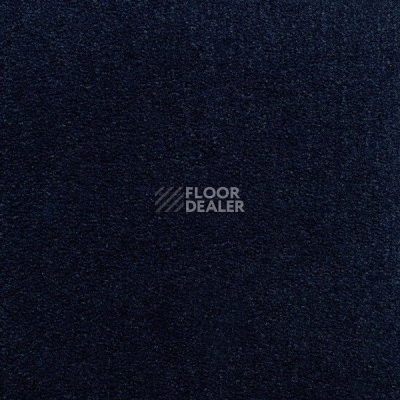 Ковролин Sintelon Eden 44930 фото 1 | FLOORDEALER