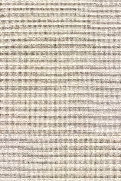 Циновки Aw Invictus Levinus Levinus 03 a фото 1 | FLOORDEALER