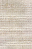 Циновки Aw Invictus Levinus Levinus 03 a фото 1 | FLOORDEALER