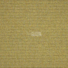 Ковролин Carpet Concept Eco 2 6721 фото 1 | FLOORDEALER