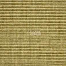 Ковролин Carpet Concept Eco 2 6721 фото 1 | FLOORDEALER