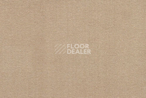 Ковролин ITC Roxane 234 фото 1 | FLOORDEALER