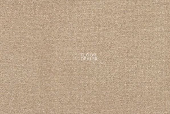 Ковролин ITC Roxane 234 фото 1 | FLOORDEALER