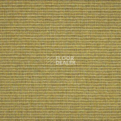 Ковролин Carpet Concept Eco 2 6721 фото 1 | FLOORDEALER