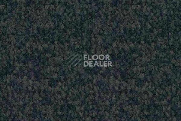 Ковровая плитка Forbo Tessera Acrobat 1317 фото 1 | FLOORDEALER