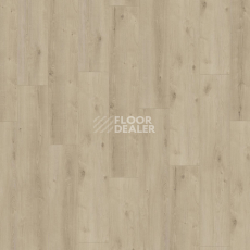 Kronotex Exquisit Plus d6021 Кашемировый Дуб Бежевый фото 3 | FLOORDEALER
