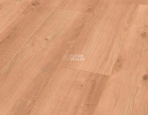 Rooms Loft 10мм R1022A Дуб Кашмир золотистый фото 1 | FLOORDEALER