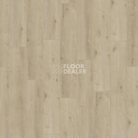 Kronotex Exquisit Plus d6021 Кашемировый Дуб Бежевый фото 3 | FLOORDEALER