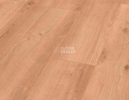 Ламинат Rooms Loft 10мм R1022A Дуб Кашмир золотистый фото 1 | FLOORDEALER