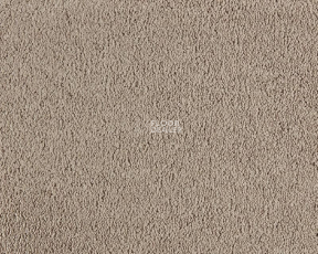 Lano Boheme 250 Magnolia фото 1 | FLOORDEALER